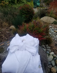 Willows Lodge Microfiber Shawl Lined Bathrobe