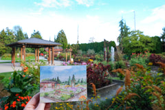 Willows Lodge Watercolor Notecards